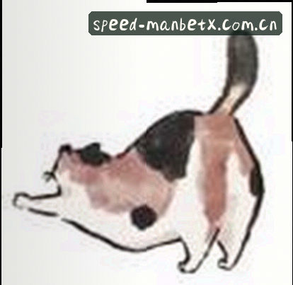 王思涵